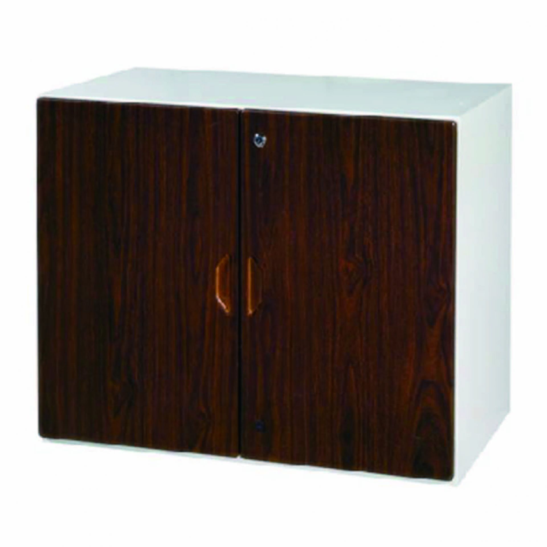 鋼木二層式開門櫃